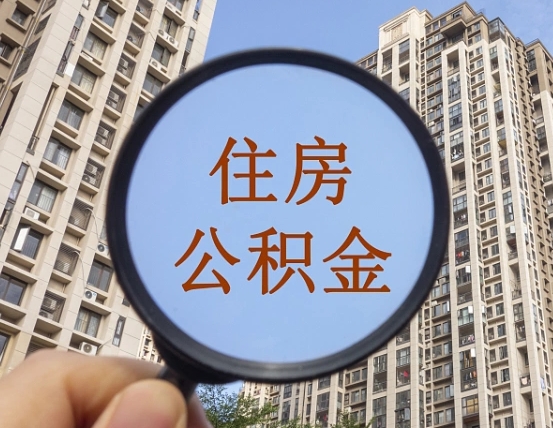 公积金-新野公积金服务平台